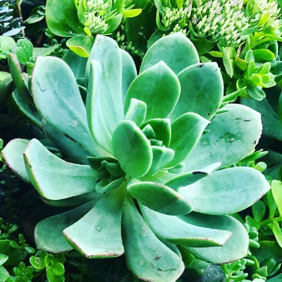 Meet the Posher Kasia - Picture 6 of 16